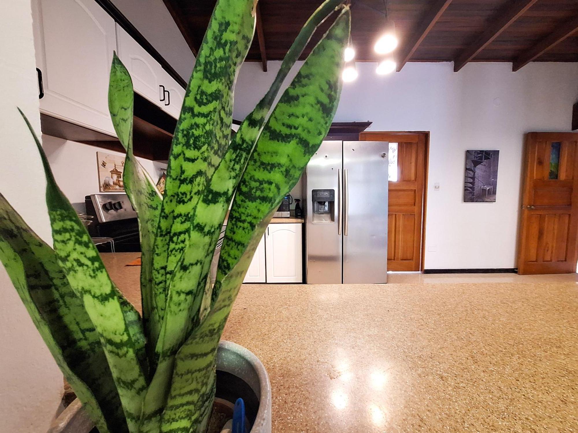 Jungla Urbana, Bnb Pavas Esterno foto